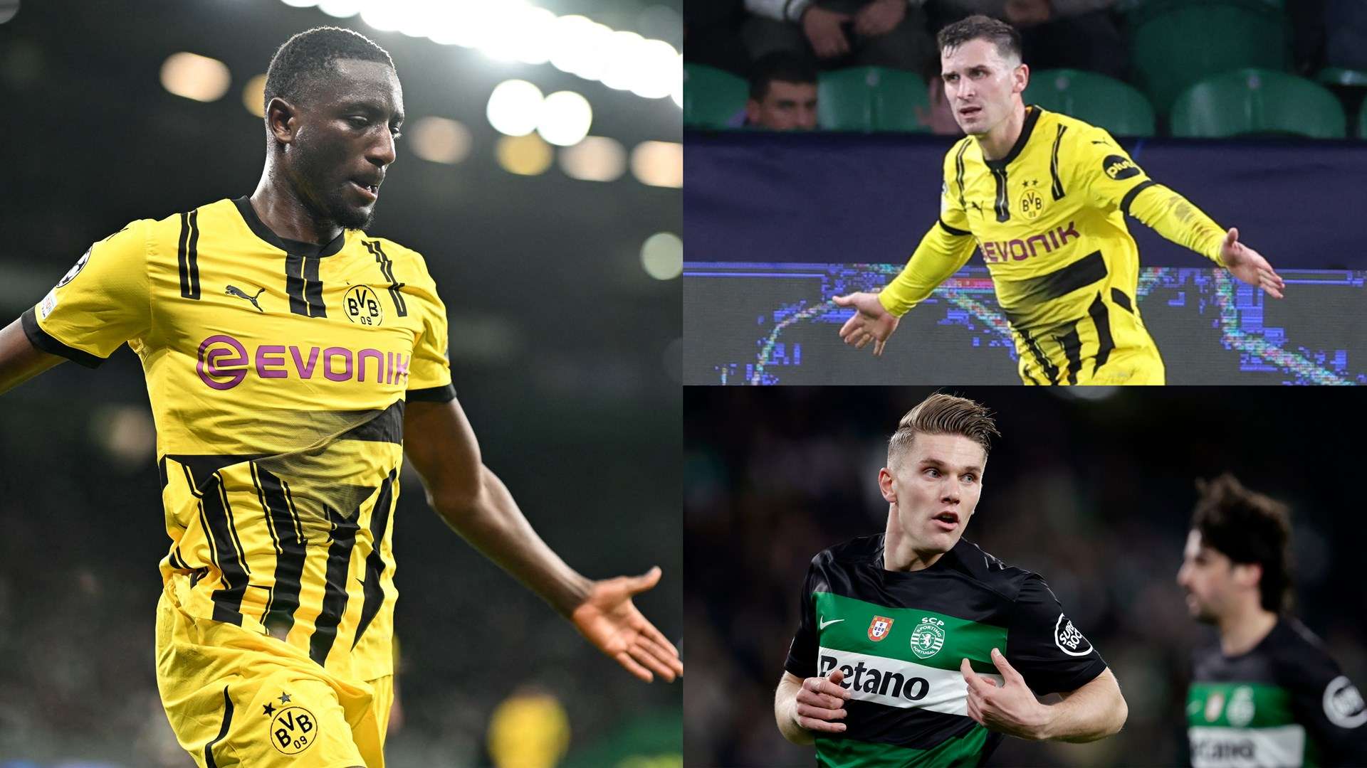 育的不可預 育的不可預