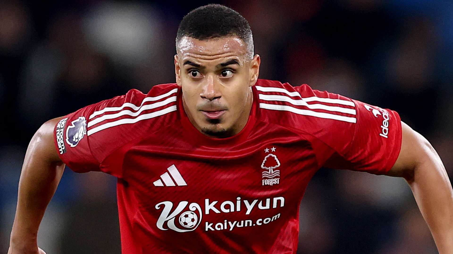 为了本轮意 为了本轮意